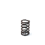 Engine Valve Spring